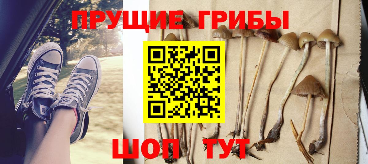Псилоцибиновые грибы Psilocybine cubensis  Галлюциногенные грибы Psilocybine cubensis  Вход с VPN  где купить наркоту  Заринск 